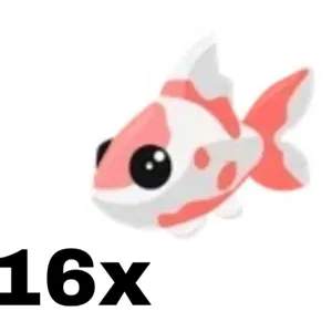 Koi Carp 16x