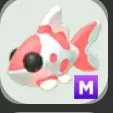 MEGA KOI CARP