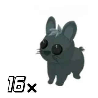 16x  AMAMI RABIT