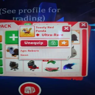 Neon Toasty Red Panda