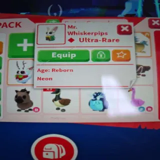 Mr. Whiskerpips Neon