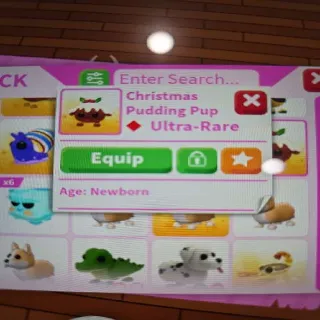 Christmas Pudding Pup