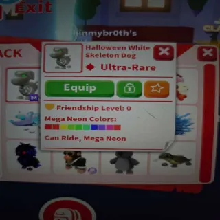 Halloween White Skeleton