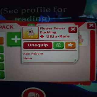 N Flower Power Duckling