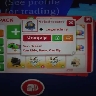 Neon FR Velocirooster