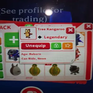 Neon R Tree Kangaroo