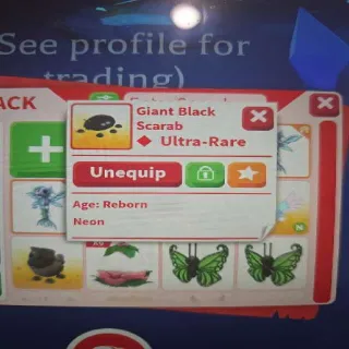 Neon Giant Black Scarab