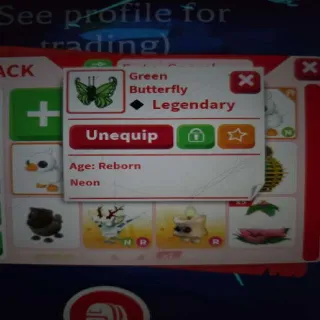 Neon Green Butterfly