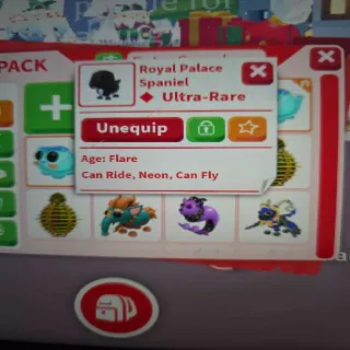 NFR Royal Palace Spaniel