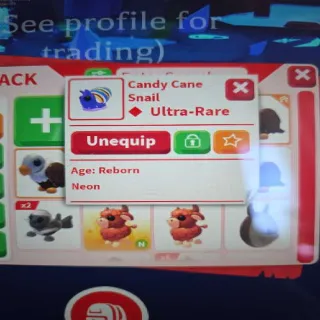 Neon Candy Cane Snail