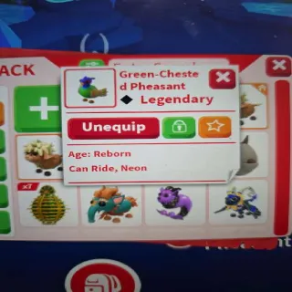 Green Chested Pheasant