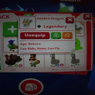 Neon FR Golden Dragon