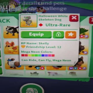 Halloween White Skeleton Dog