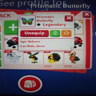 NR Prismatic Butterfly