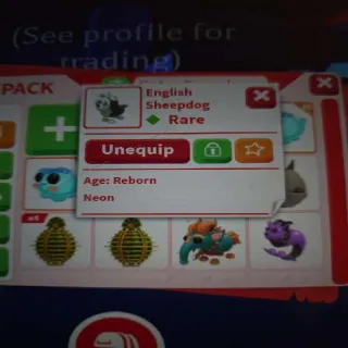 Neon English Sheepdog