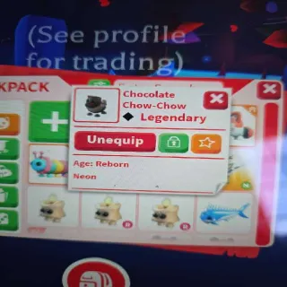 Neon Chocolate Chow-chow