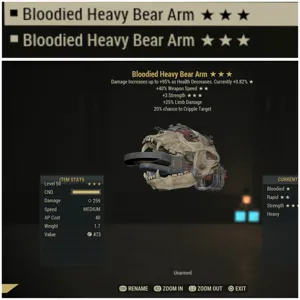 pair bear arm