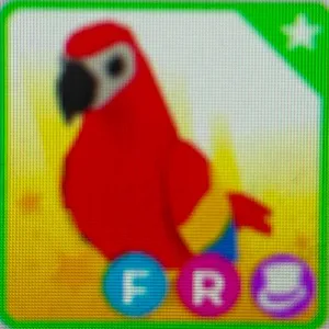 Pet| FR Parrot 