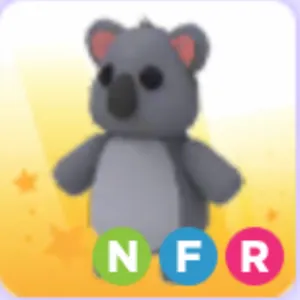 Pet | Nfr Koala