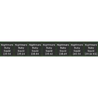 NM RUBY SQUID 38-40KG SET (7pcs)