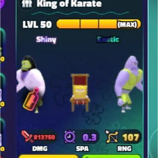 Shiny King of Karate