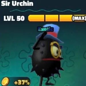 X25 Sir Urchin