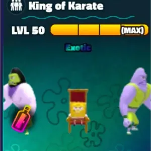 X20 King Of Karate