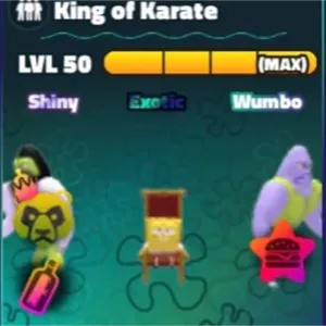 SW King Of Karate