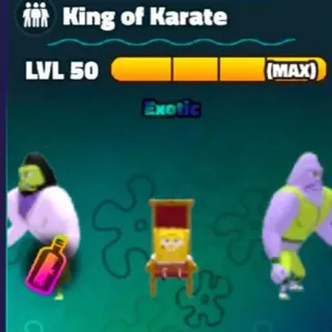 X5 King Of Karate