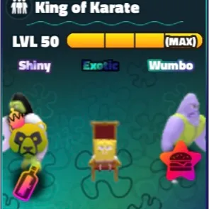 Sw King Of Karate