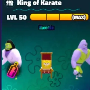 X30 King Of Karate