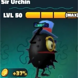 X25 Sir Urchin