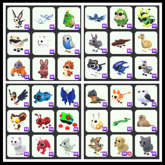 Foto del Listado