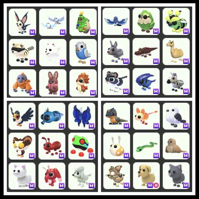 Foto del Listado