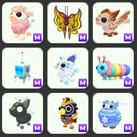 Foto del Listado