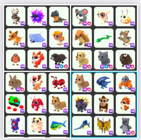 รายการภาพถ่าย