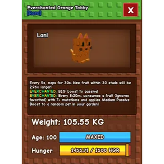 💎 COLOSSAL/TITANIC ORANGE TABBY 105.55KG/AGE100 (EVERCHANTED MUTATION) 💎 🔥 CLEAN + STACKED • WTS 🔥