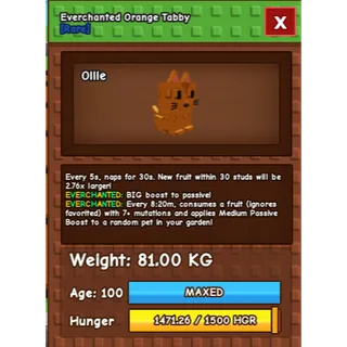 🔥 SETITANIC ORANGE TABBY 81.00KG/AGE100 (EVERCHANTED MUTATION) 🔥 💎 ULTRA RARE • MAXED • 5s CD • INSTANT DELIVERY 💎