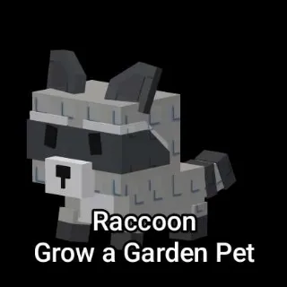 Raccoon