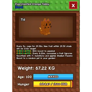 🔥 SEMI TITANIC ORANGE TABBY 67.22KG/AGE100 (EVERCHANTED MUTATION) 🔥 💎 ULTRA RARE • MAXED • 5s CD • INSTANT DELIVERY 💎