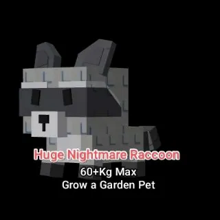 Huge Raccoon 60+Kg