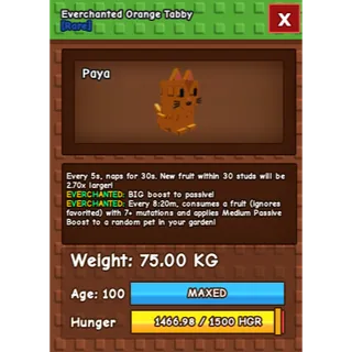🔥 SEMI TITANIC ORANGE TABBY 75.00KG/AGE100 (EVERCHANTED MUTATION) 🔥 💎 ULTRA RARE • MAXED • 5s CD • INSTANT DELIVERY 💎