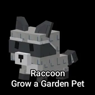 Raccoon - Grow a Garden Pet