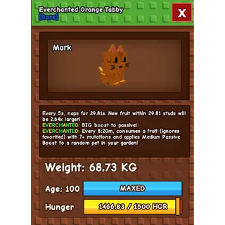 🔥 SEMI TITANIC ORANGE TABBY 68.73KG/AGE100 (EVERCHANTED MUTATION) 🔥 💎 ULTRA RARE • MAXED • 5s CD • INSTANT DELIVERY 💎