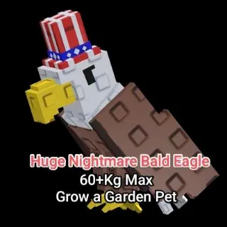 Huge Bald Eagle 60+Kg