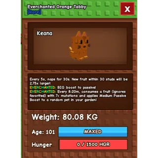 💎 TITANIC ORANGE TABBY 80.08KG/AGE101 (EVERCHANTED MUTATION) 💎 🔥 CLEAN + STACKED • WTS 🔥