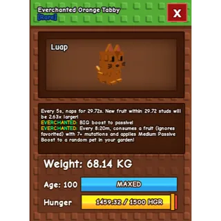 🔥 SEMI TITANIC ORANGE TABBY 68.14KG/AGE100 (EVERCHANTED MUTATION) 🔥 💎 ULTRA RARE • MAXED • 5s CD • INSTANT DELIVERY 💎