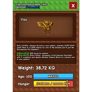 🔥 SEMI HUGE GILDED CHOC PERYTON 38KG+/AGE100 EVERCHANTED MUTATION 🔥 💎 ULTRA RARE • MAXED • INSTANT DELIVERY • TAKING OFFERS 💎