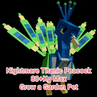 Nightmare Titanic Peacock 80+Kg (15s Cd No Toy)