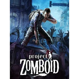Project Zomboid steam gift